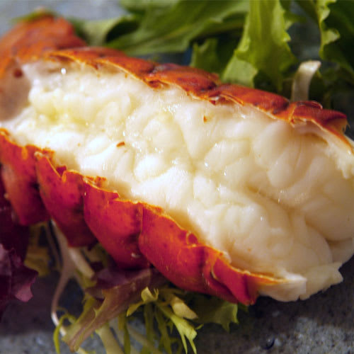 Lobster of the Month Club The World's Most Popular Lobster Club from