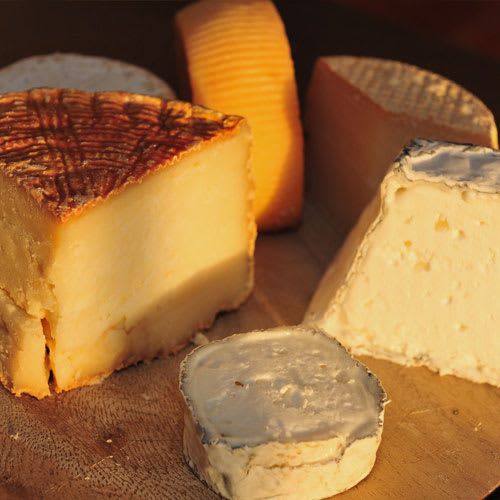 Cheese of the Month Club | America's #1 Rated Cheese Club from Amazing Clubs