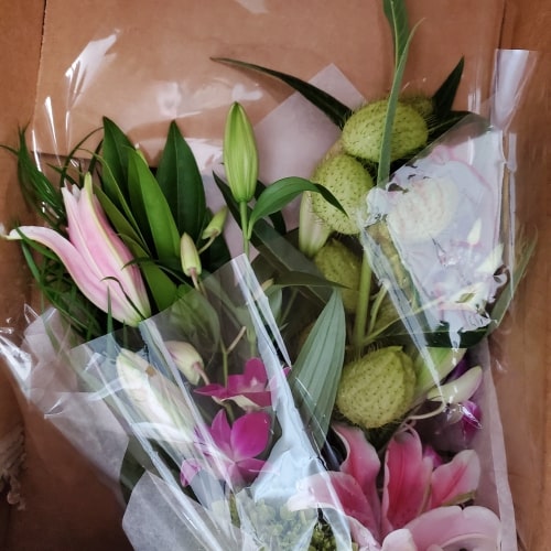 Flower of the Month Club The World's Most Popular Flower Club from