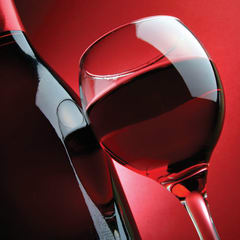 VODKA VINCE N' THEO RED APPLE 37,5% 50m glass miniatura mignonette minibottle 