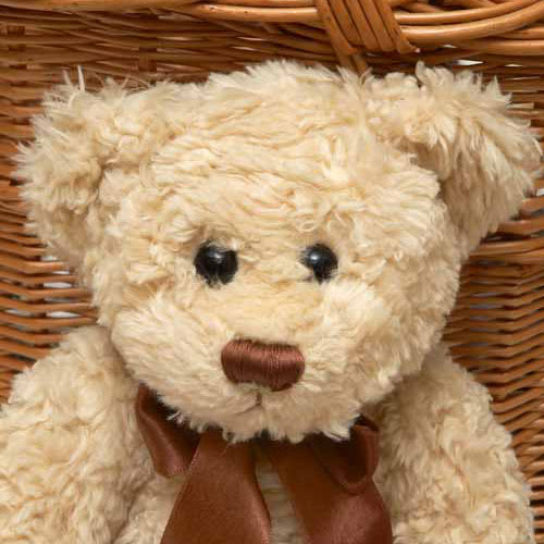 teddy bear order